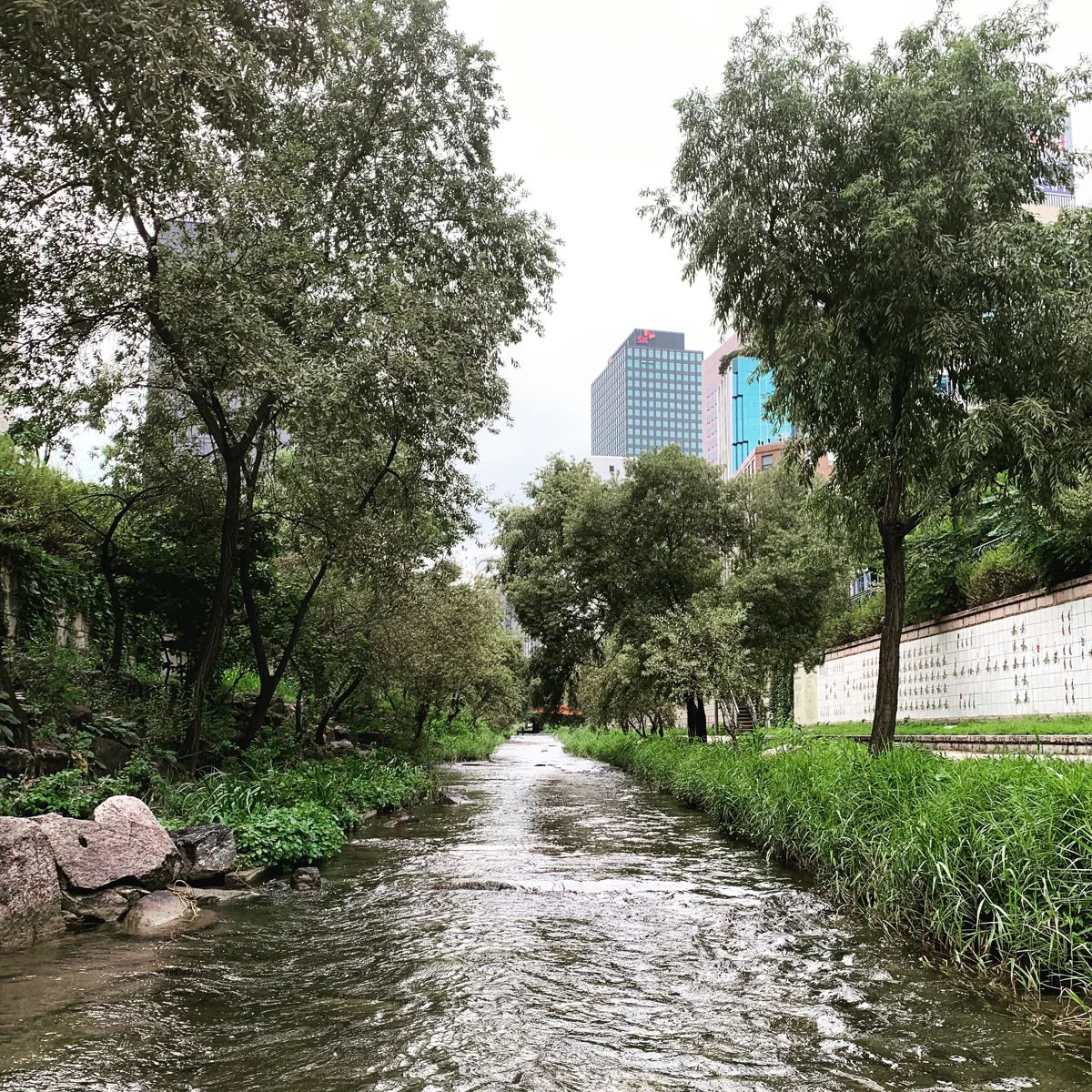 An urban stream bordered by greenery and buildings
